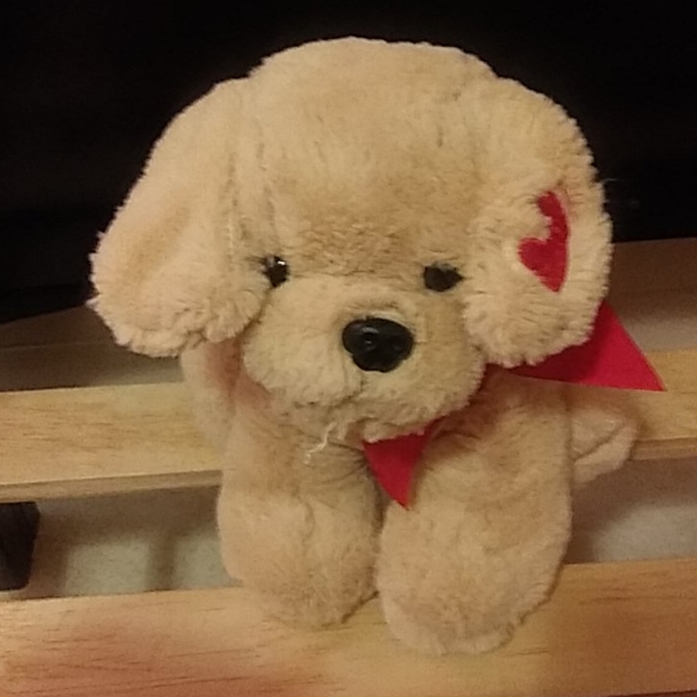 Dog stuff animal